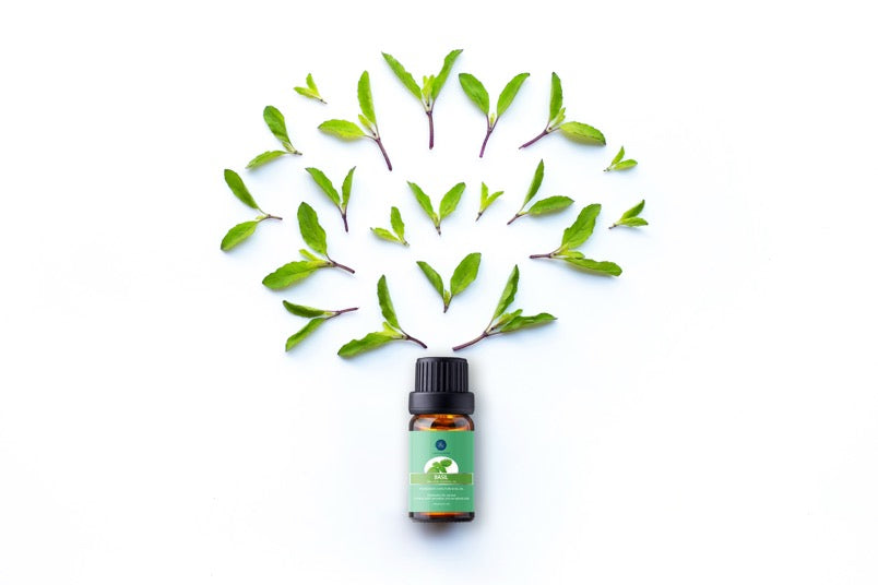 Product Spotlight: Basil Essential Oil