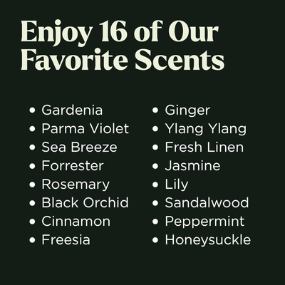 Lagunamoon Fragrance Oil Collection – 16-Piece Gift Set for Diffusers, Candles & DIY (10 mL each)
