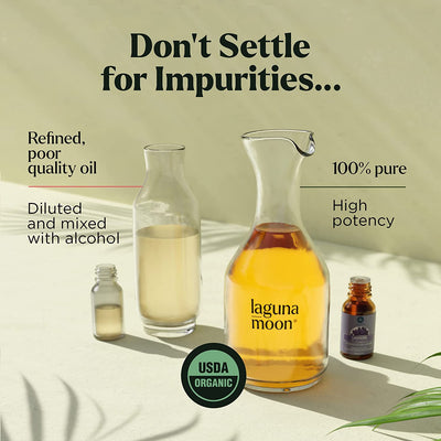 10pc Essential Oil Gift Set