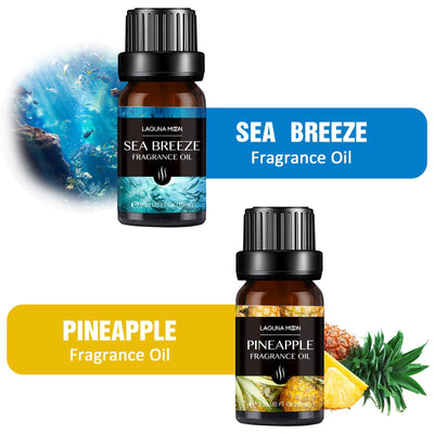 Holiday Set of 6 Fragrance Oils 10ml